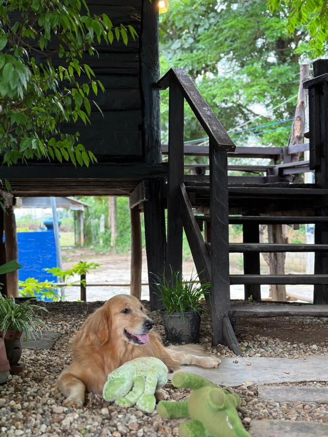 The Legend Homestay. Privatunterkunft Mae Ai