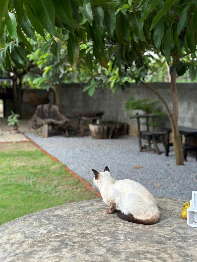 The Legend Homestay. *